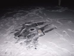 Ряд рейдовых мероприятий провела на Телецком озере оперативная группа Алтайского заповедника