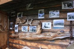 Передвижная фотовыставка «Заповедные люди»