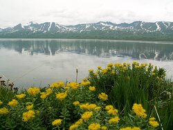 2 февраля – Всемирный день водно-болотных угодий