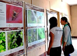 Заповедная фотовыставка открылась в Горно-Алтайском государственном университете