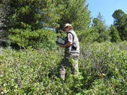 Голод медведям не грозит