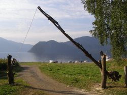 Студенты Томского государственного университета прошли учебную практику в Алтайском заповеднике