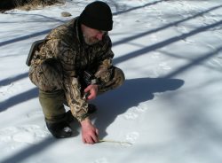 Готовимся к учёту снежного барса