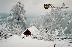 Первый научно-технический совет юбилейного года прошел в Алтайском заповеднике