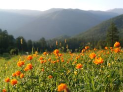 В весенне-летний сезон усилен режим охраны
