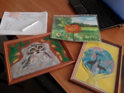 Подведены итоги республиканского конкурса «Юный исследователь природы Алтая»-2018