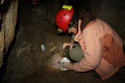 Словенские ученые провели исследования Большой Медведицы