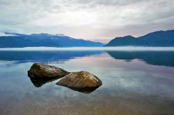 Завершилась интернет-викторина Алтайского заповедника!