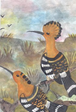 Праздник Всемирного дня птиц на Алтае