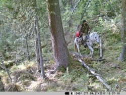 Заметки териолога. Осенние полевые наблюдения.