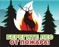 Осторожнее с огнём в майские праздники!
