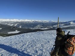 Заметки териолога. Соболь стал держаться "шире" и одним из первых освоил ледовое пространство Телецкого озера