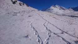 С высоты хребта Чихачева