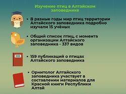 Изучение птиц в Алтайском заповеднике