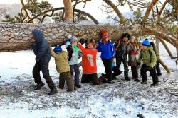 Хроники Заповедного Дозора – год 2018, начало