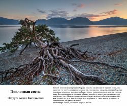 Объявляется конкурс «Живая природа Алтая - 2016»