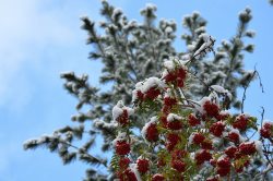 14 октября - День работников заповедного дела!