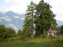 VI Открытый межрегиональный экологический фестиваль «Древо жизни»