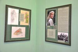 «Взлечу я птицей над самой собой…»