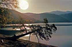 Слово о Сосне Поклонной.