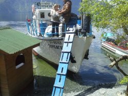 Большая вода в Алтайском заповеднике