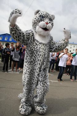 «Земля снежного барса»