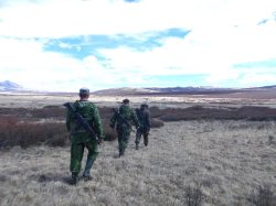 Оперативное дежурство на озере Джулуколь или как «медвежонок» и солнечные панели помогли хариусу спокойно отнереститься