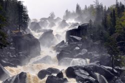 Быть бобру! -2 (неожиданное продолжение…)