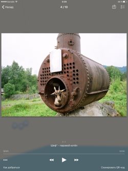 Достопримечательности Алтайского заповедника теперь и в формате мобильного приложения