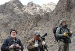 Участники экспедиции по учетам снежного барса помогли задержать браконьера на границе России и Монголии