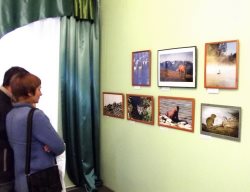 Подведены итоги межрегионального фото-, видео-конкурса «Живая природа Алтая»