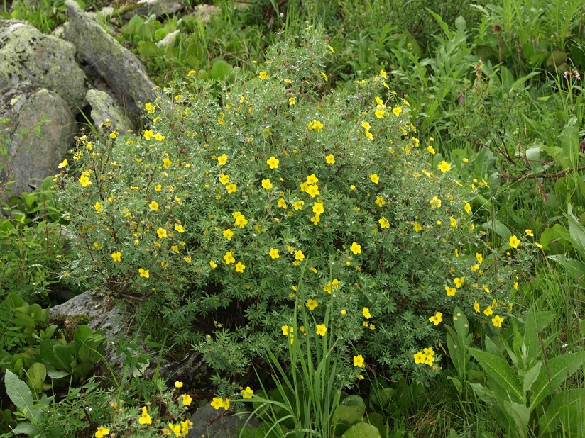 Автор фото: Алексей Макунин